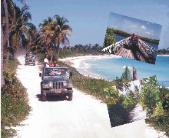 escursioni playa del carmen, jeeptour punta allen